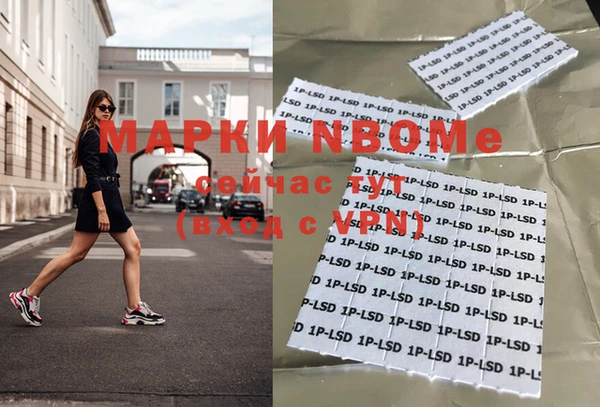 шишки Алзамай