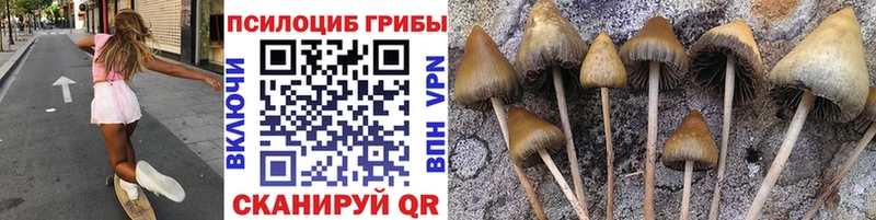 купить  сайты  Покачи  Псилоцибиновые грибы Psilocybine cubensis 